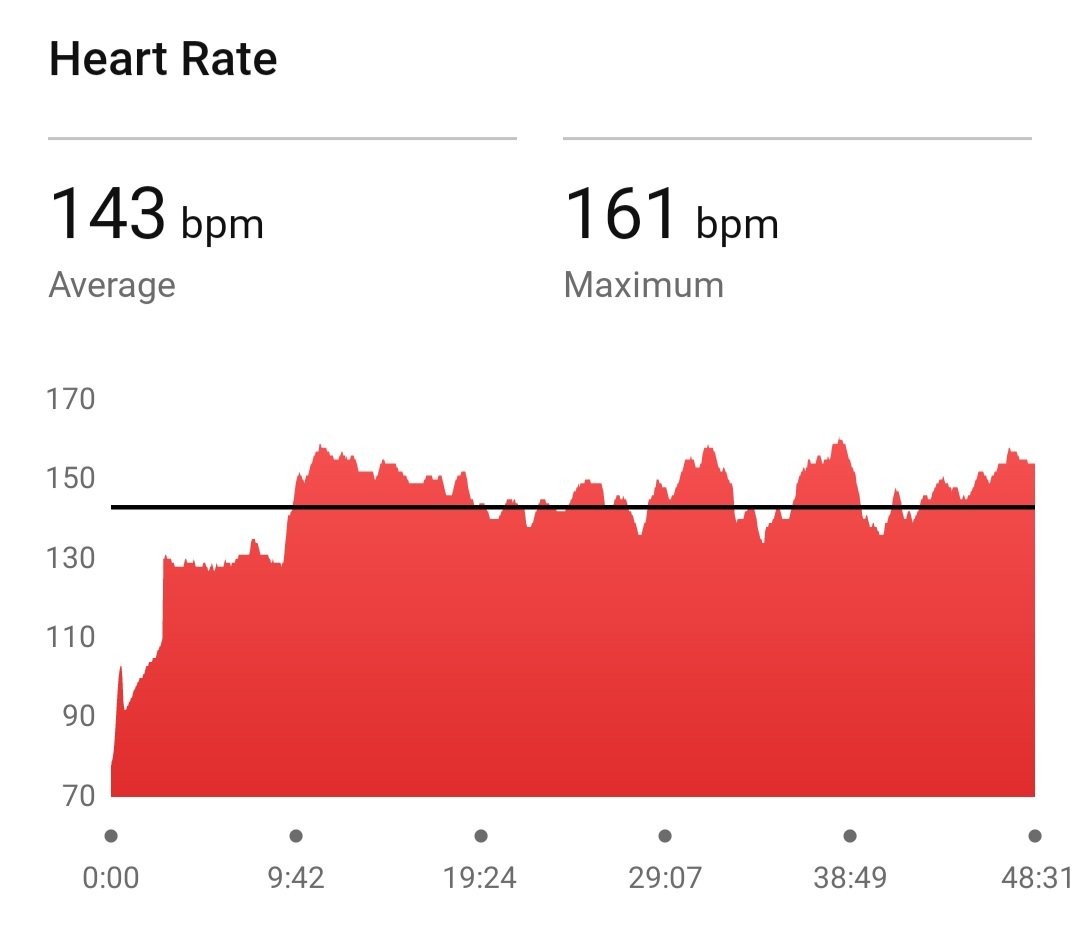 Violet Krueger tweet media