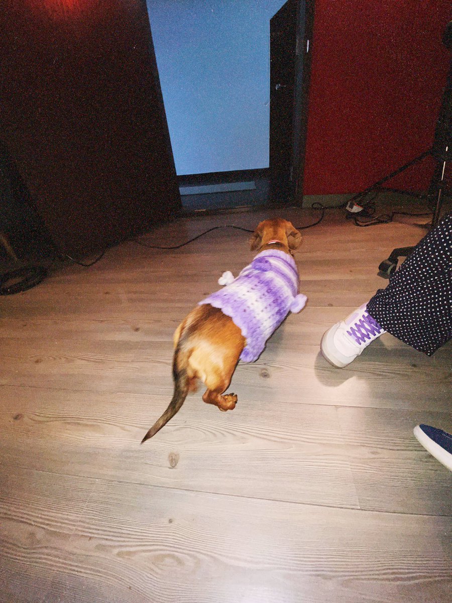 ivan_castrom's tweet photo. 1️⃣ Recording en casa @mixfactoryestudio 
2️⃣ @camiloaldanabass cuadrando los tracks pa’ grabar
3️⃣Cookie coquette 🫶🐶
4️⃣ La oficina más cómoda del mundo @ludwigdrumshq @anatoliancymbalsofficial https://t.co/S0dS8RdHVF