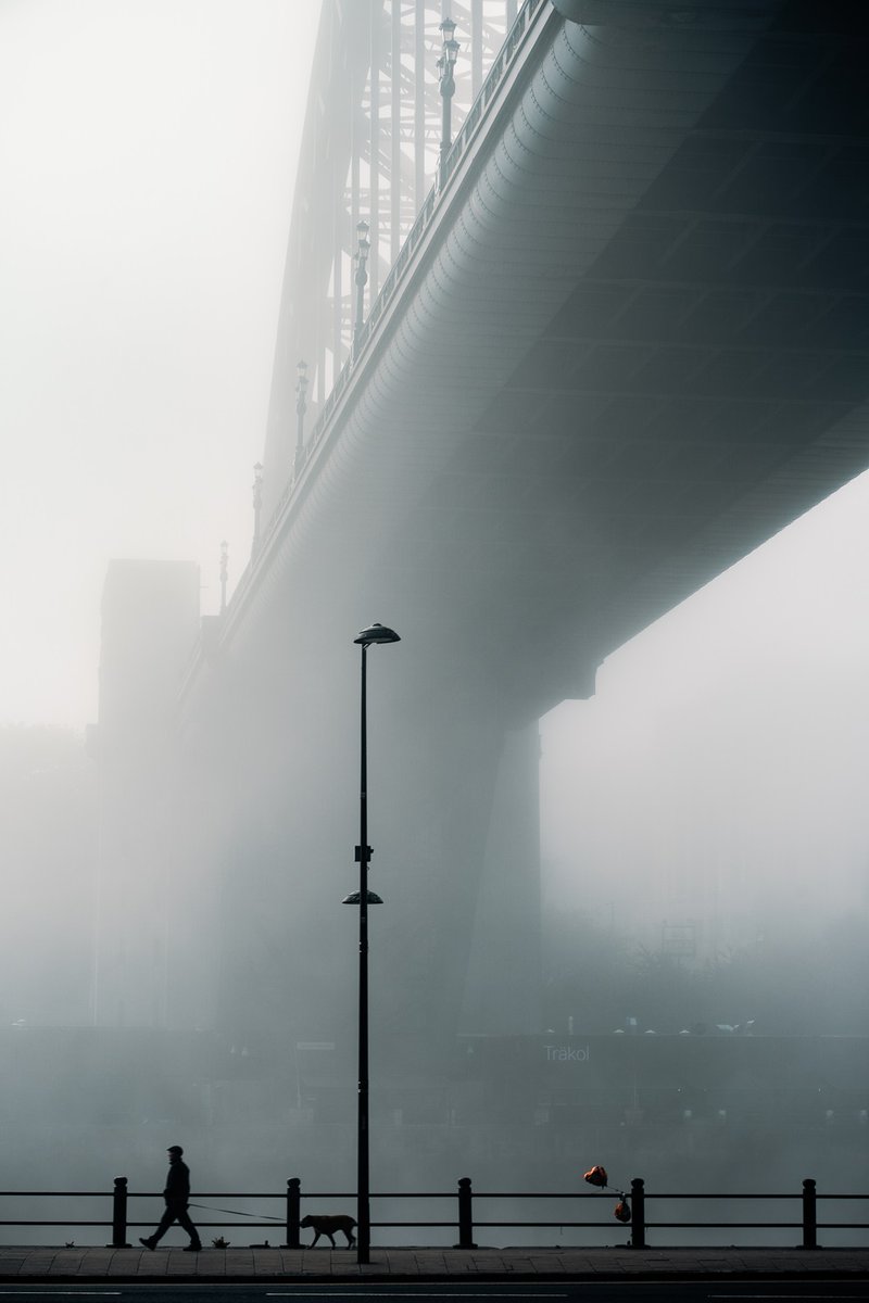I'm offering 15% off all prints and downloads this weekend if you're looking to brighten up your walls, just add the code THX15 at the checkout - langshotphotography.com