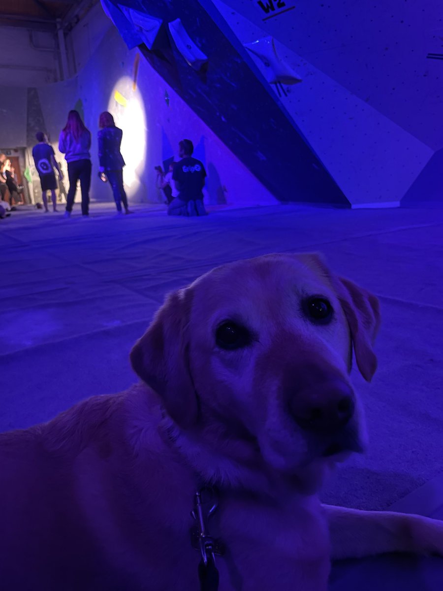 Cane_Mabel's tweet image. Great time had @TCE_Maidstone #G13 #Bouldering Spring Fling competition. So good to be back, even if we ere just watching.