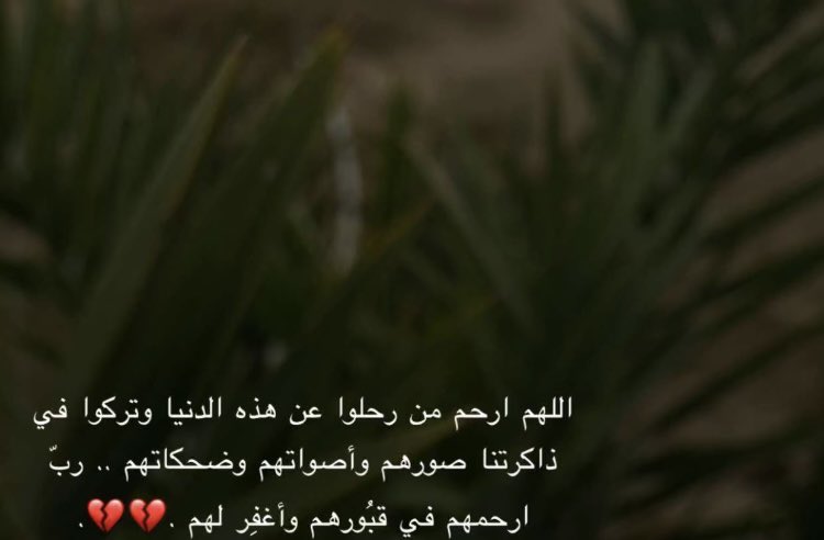 badreh39's tweet image. 