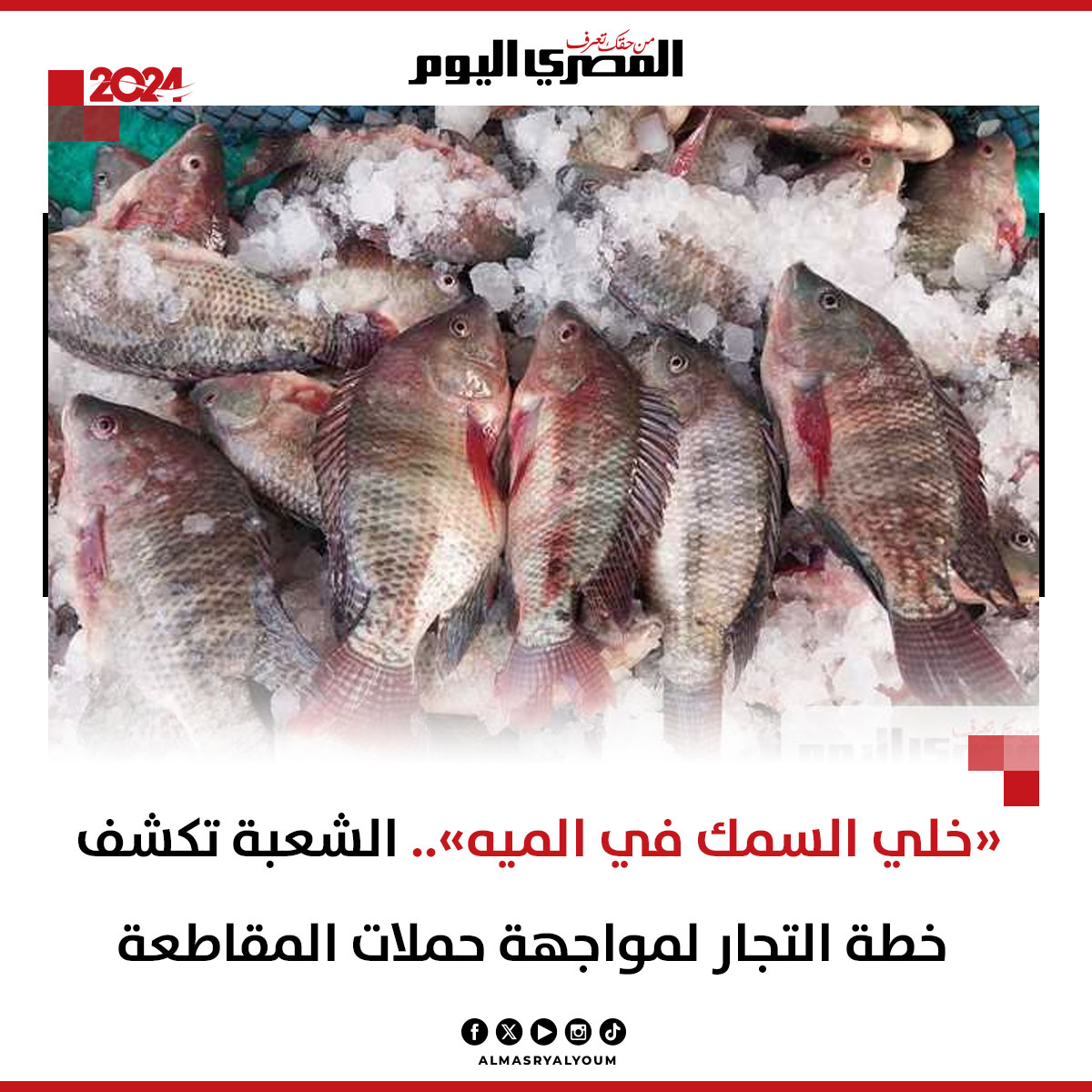 «خلي السمك في الميه».. الشعبة تكشف خطة التجار لمواجهة حملات المقاطعة (فيديو) 