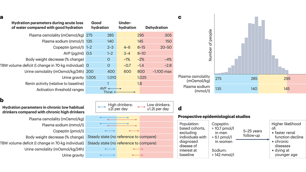 A Review in @NatRevNeph describes current understanding of the physiological consequences of underhydration on health outcomes. 🔒 go.nature.com/49OPrXn