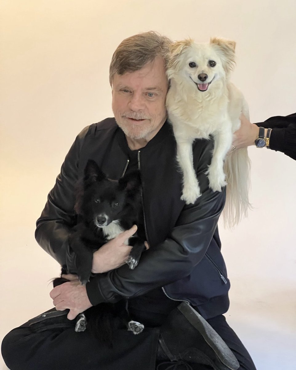Dog lover and democracy defender. Do you agree that @MarkHamill is one of the best? 🙌🏻 💙
