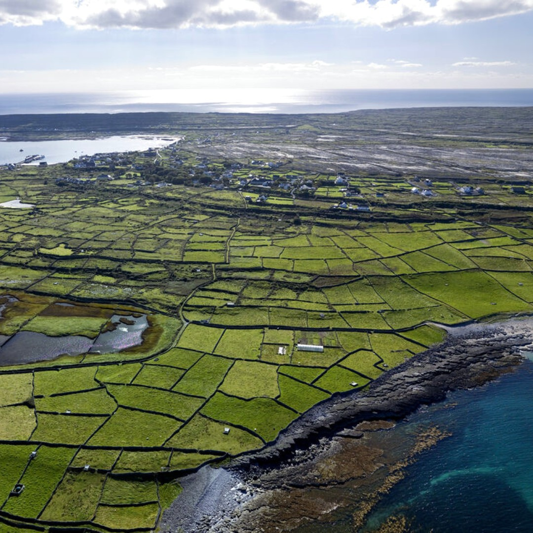 From  - Tourism Ireland

There's just nothing like this patchwork quilt of green! 📍 Aran Islands, County Galway

Are Aran Islands worth visiting? lovetovisitireland.com/are-aran-islan…