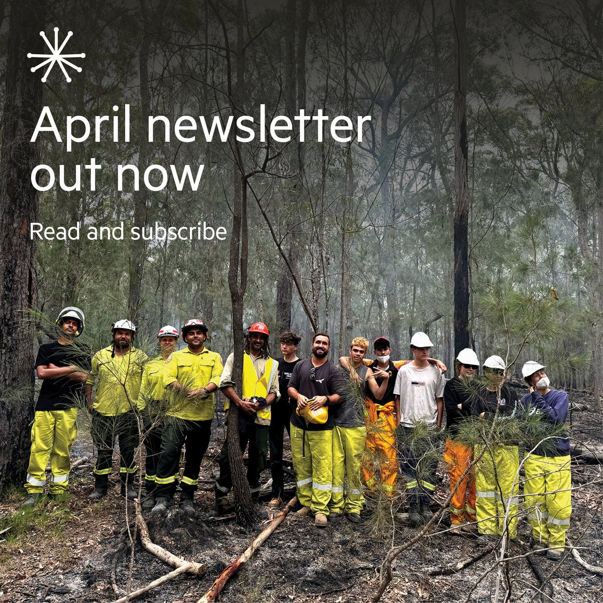 📢 April newsletter is out now! mailchi.mp/firesticks.org… We give you the lowdown on the upcoming first-of-its-kind National Indigenous Women's Fire Workshop. Plus, hear about some deadly Cultural Burns happening on Gomeroi and Djiringanj Countries.🔥