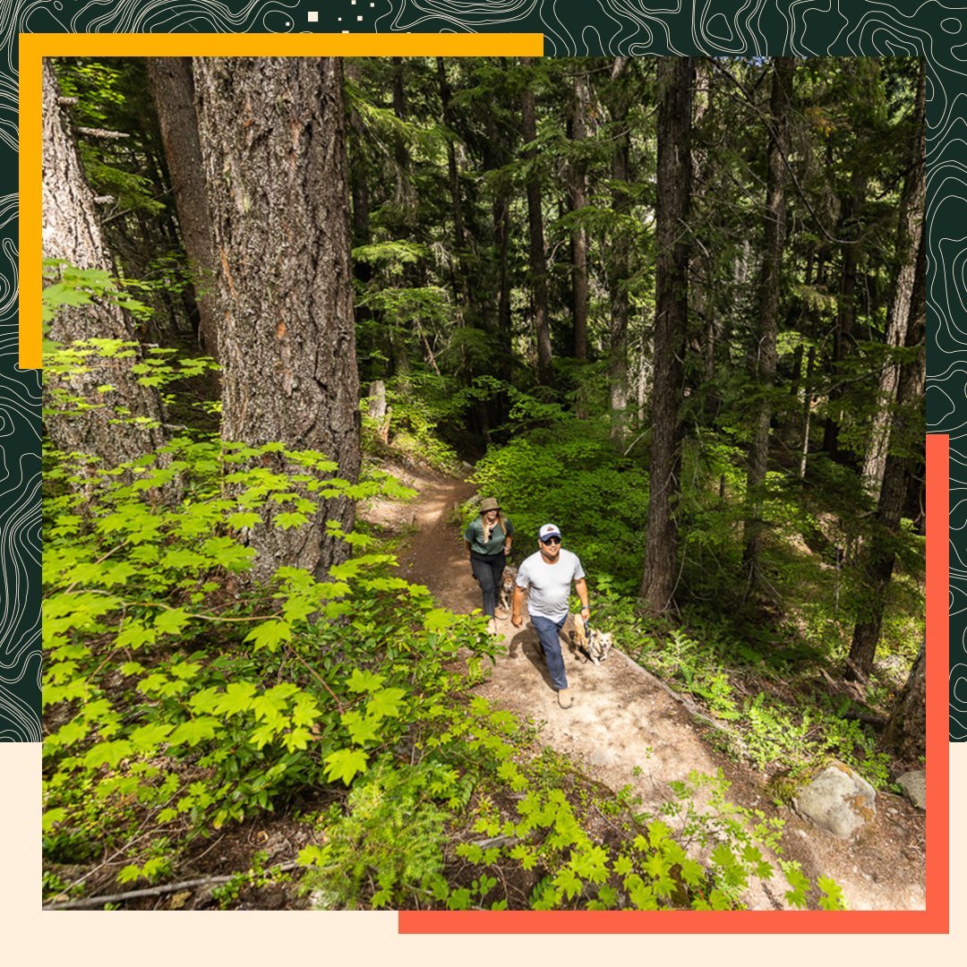 It's #CelebrateTrailsDay! 🙌 Let's celebrate the 88,600 miles of American trails we have to enjoy! 
If you are looking for a new trail to explore near you, try using the AllTrails app 👉 alltrails.com
#GORVING #RV #Trails #AllTrails