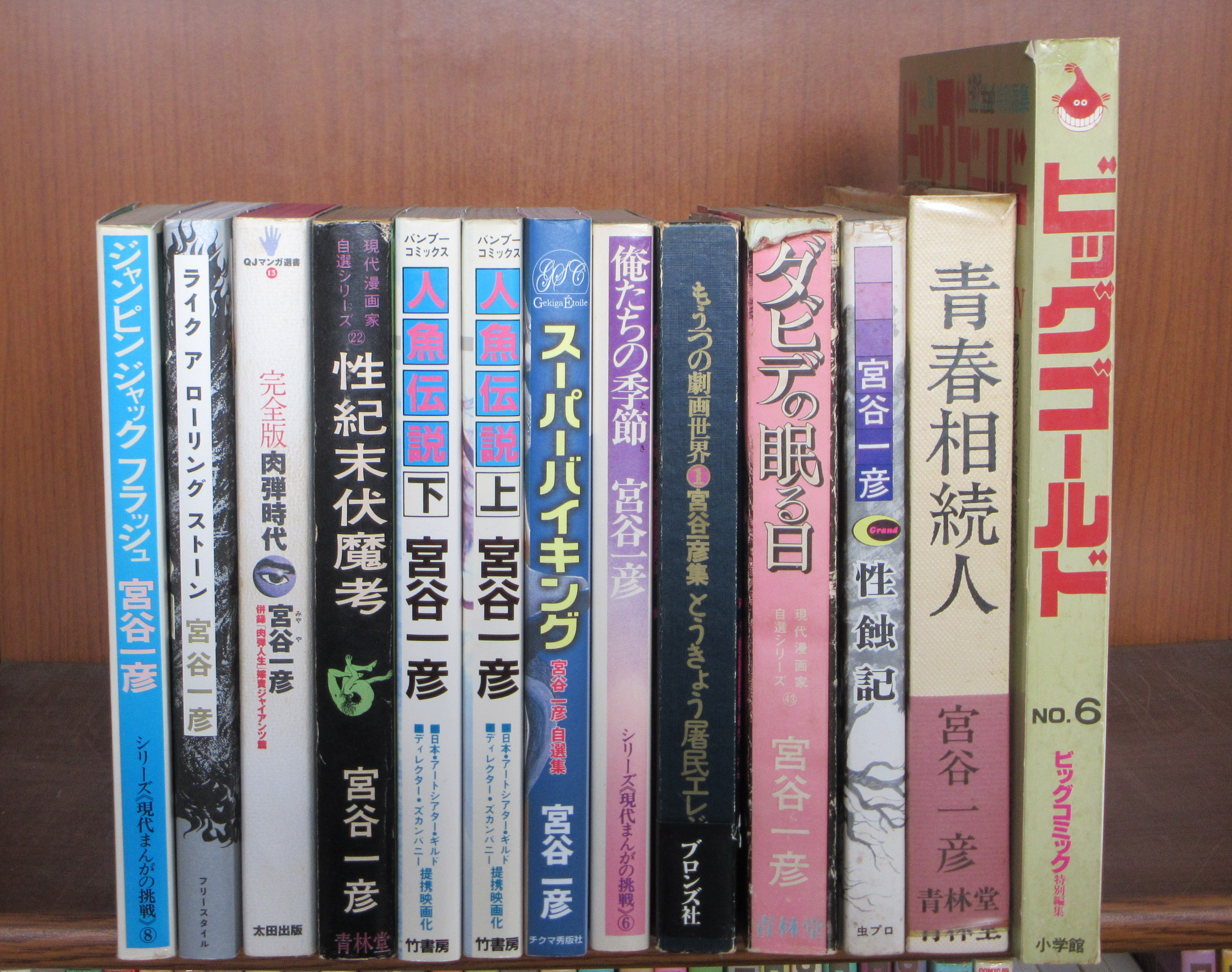 宮谷一彦 キャメル 全巻一括特別価格 未単行本化 封印 精神 月刊ムー八幡書店 宮谷一彦 性蝕記 マッチ売りの少女 野坂昭如 米倉斉加年 COM増刊