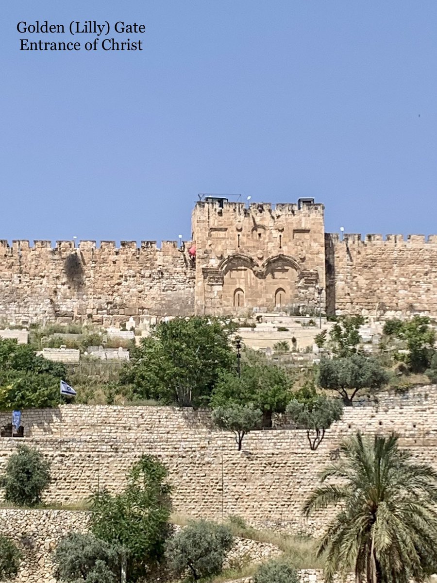 The place of the Entrance of Christ into Jerusalem. Sealed up by the Ottoman Sultan to prevent Him from coming back again!