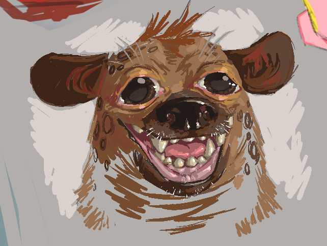 AeriaQuies tweet media