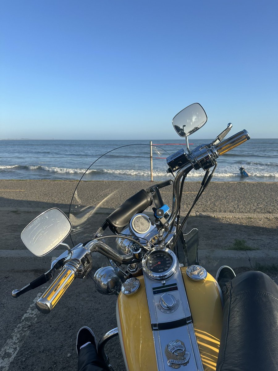 Best beach chair. @harleydavidson