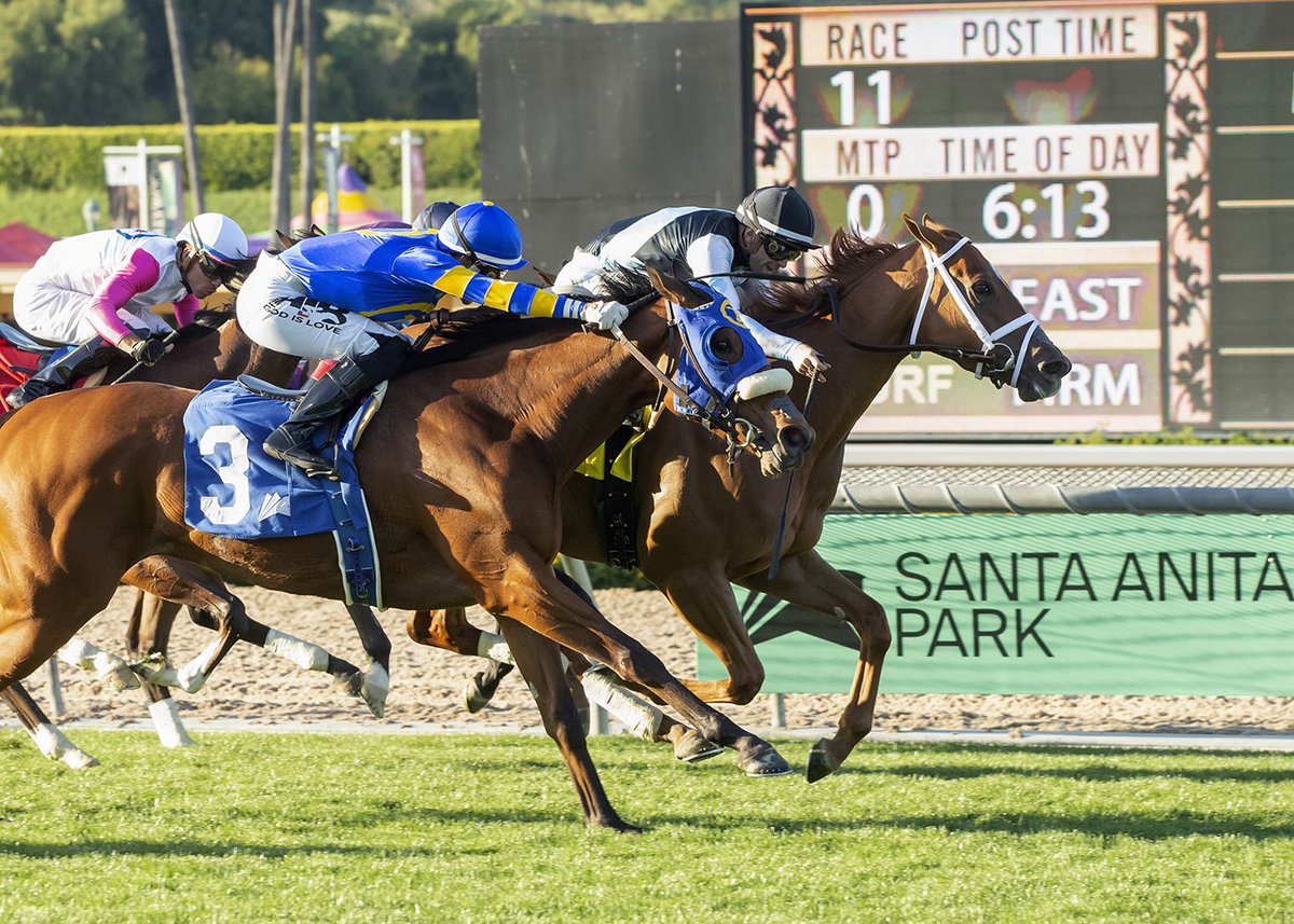 Within a span of minutes, Air Force Red runs a monster 2nd by a head in G3, $175k San Fran Mile @GGFracing & the tables then turned for the better as Sunset Glory threaded the needle under @umbyrispoli to win a thriller vs. MSW foes for @mwmracing @santaanitapark! #BelieveBig