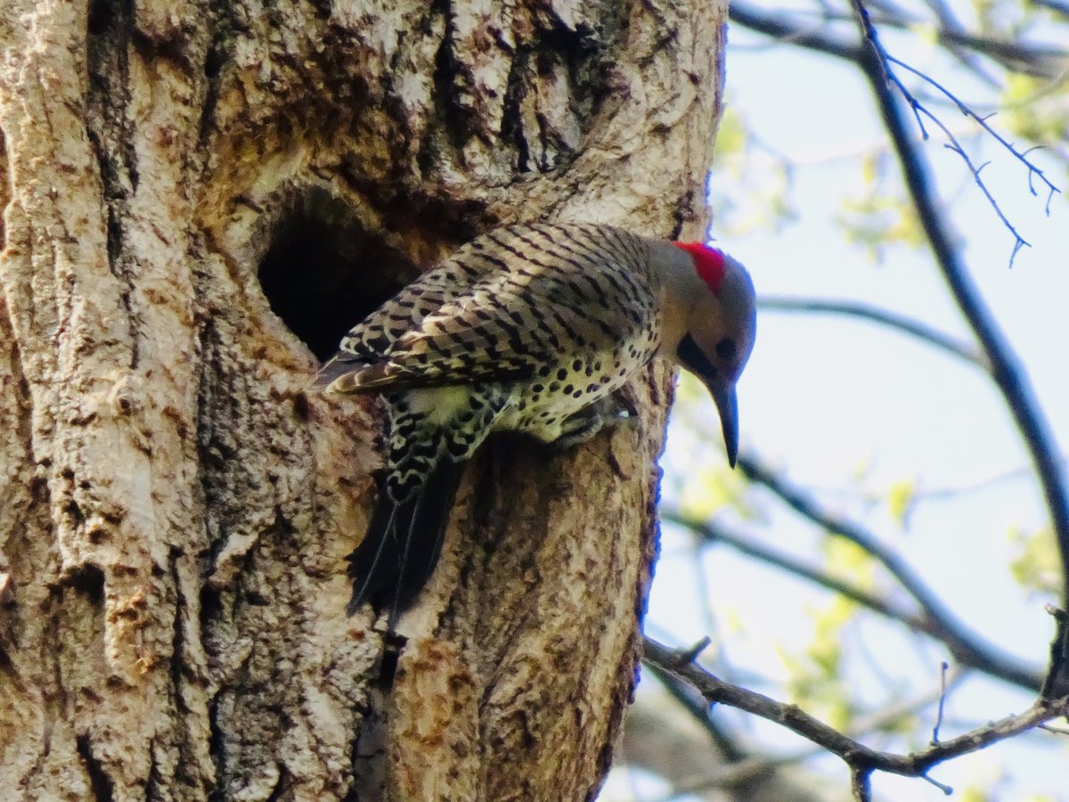 Laurel (@laurelgwizdak) on Twitter photo 