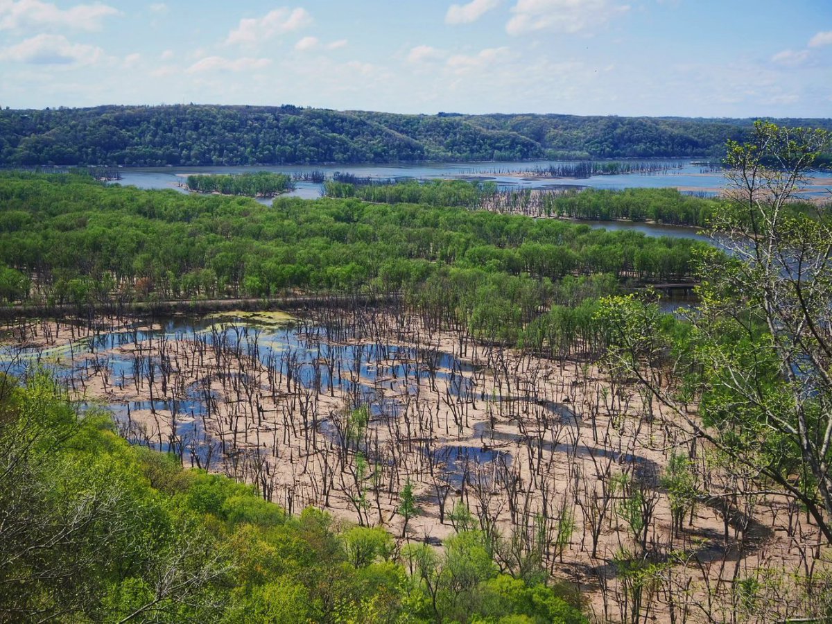 A great spring afternoon for a hike before the storms started rolling in. Wyalusing State Park, Bagley, WI. #wiwx