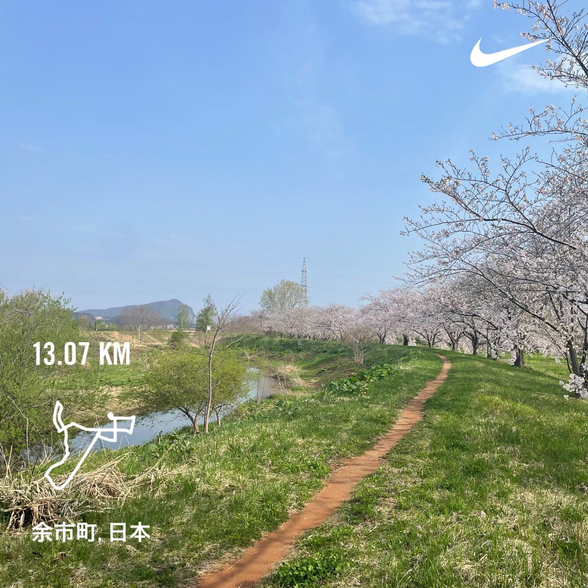 桜並木を抜けながら。
満開。
#MorningRuns #running #beautifulmorning #Hokkaido #朝ラン #ランニング #余市町 #北海道 #sundayjoy