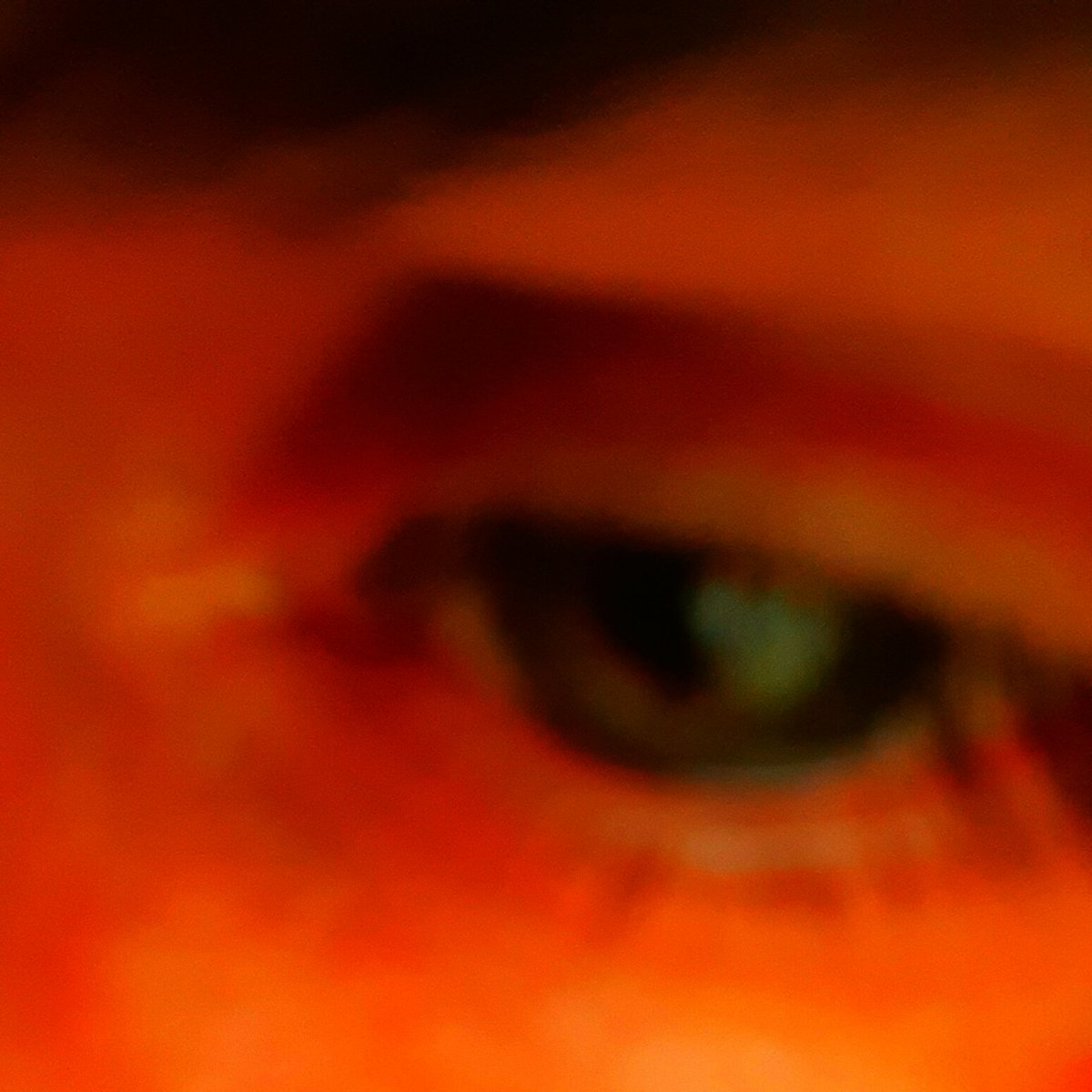 EndMsNow's tweet image. On April 27th, 2011 I lost my mother to complications from #FuckMS
#HelpFindACure #MsSucks
#NeverForget
#IHaveMs
She was only 54yrs old when she passed. My mother was diagnosed with #Ms at 18yrs old. She tried everything to stay alive It still hurts &amp;amp; I miss her every day.