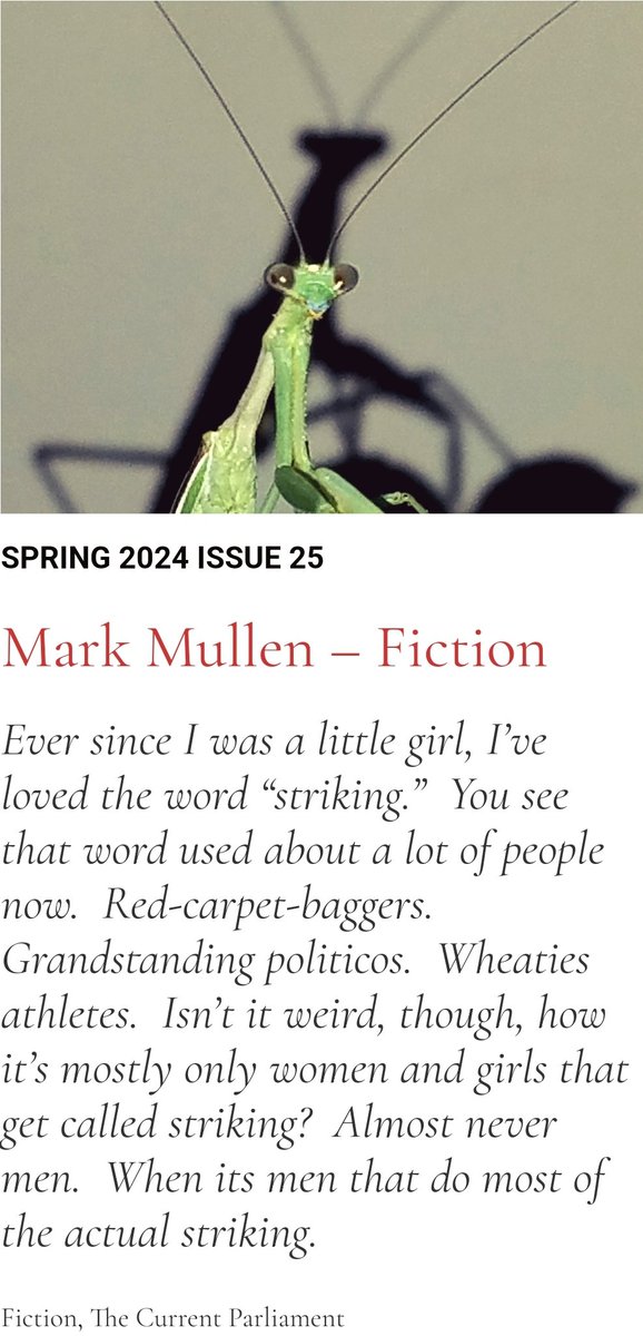 The writer Mark Mullen has written a powerful and hilarious story about thriving in the age of #socialmedia.  It is a #mustread!  Check the links in our bio. #thievingmagpie #literarymischief #fiction #poetry #photography #art #essays #marketforces