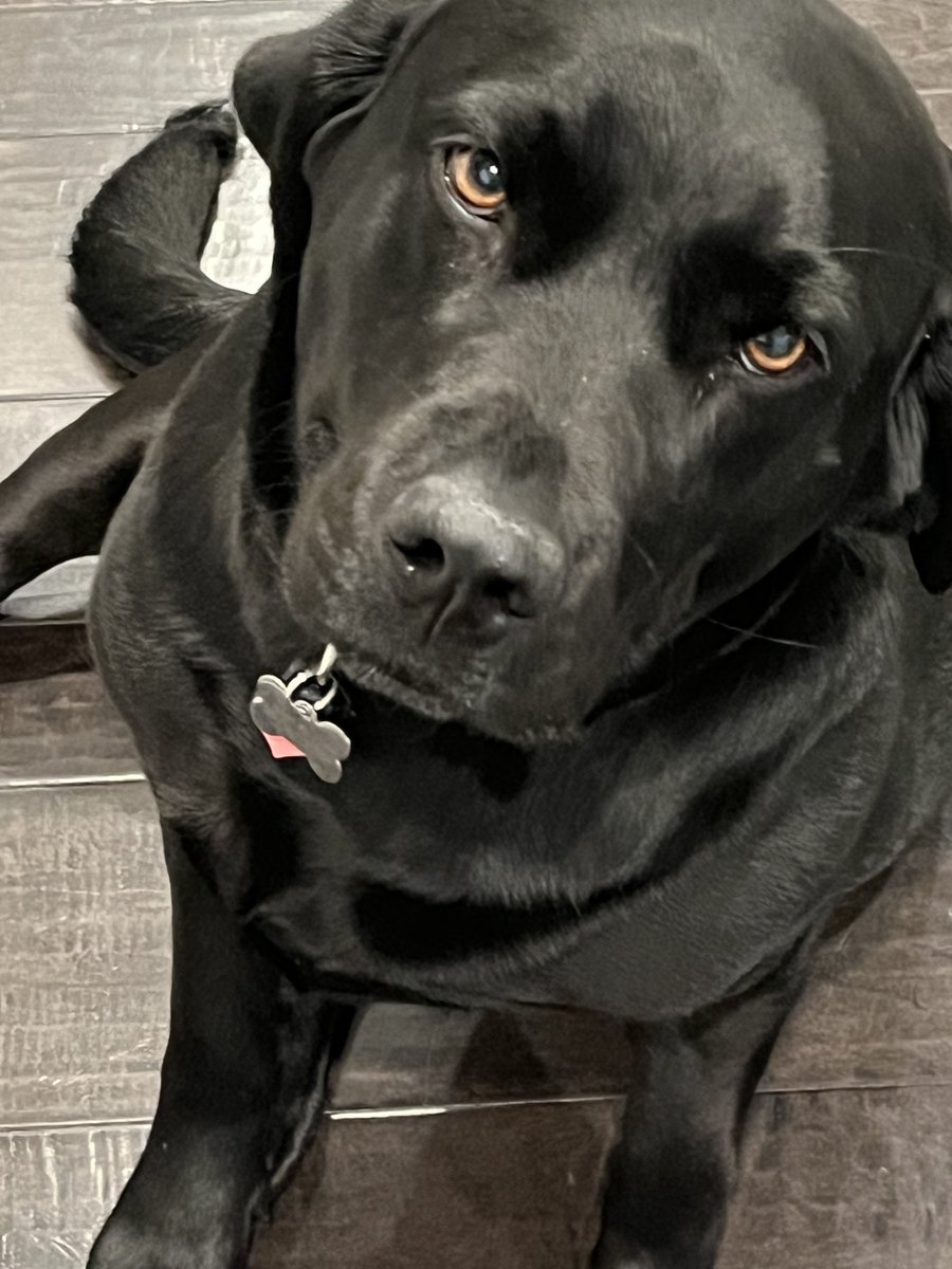 Seth Randall tweet media