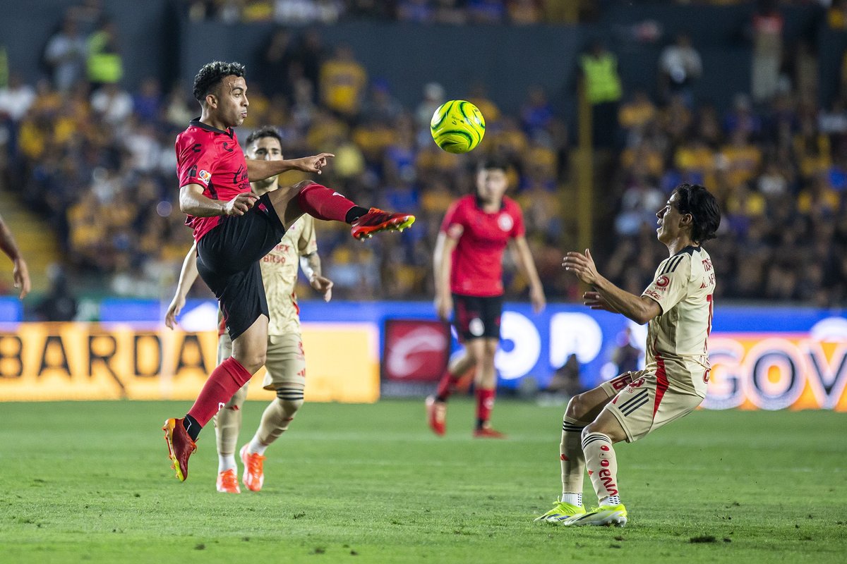 Xolos tweet picture