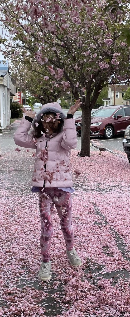 It’s a pink jacket, pink snow kind of day in the #PNW! 🌸🌸🌸