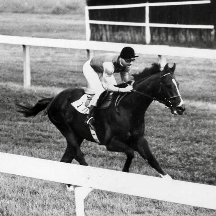 Two-Time Lockinge Winners 🏆 #1 - Pall Mall Pall Mall was bred by Queen Elizabeth II and trained by Cecil Boyd-Rochfort 👑 Pall Mall won the inaugural running of the Lockinge Stakes in 1958. A year later, he won again🥇 Discounted tickets for the @AlShaqabRacing Lockinge ⬇️
