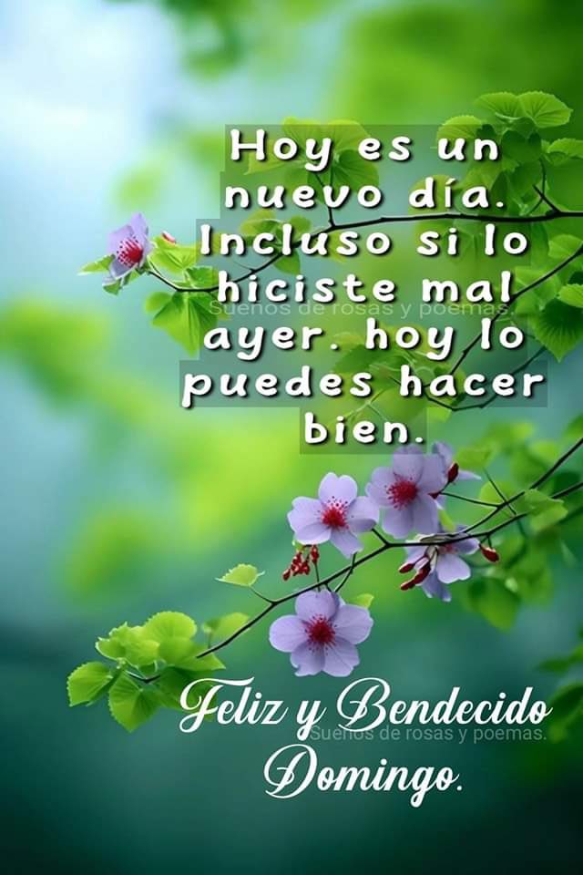 #Lafelicidadestaenelinterior Feliz domingo