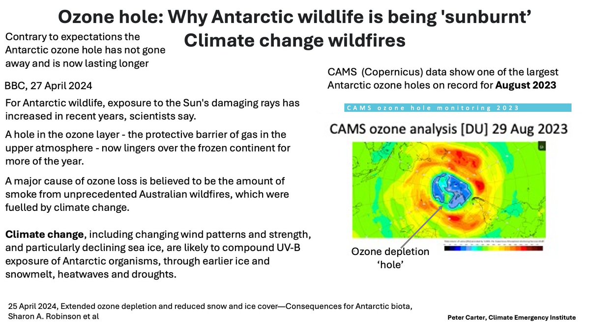 ANTARCTIC OZONE HOLE LASTING LONGER Increased Australian wildfires the culprit but several climate change effects are predicted to interfere with reversal ozone depletion. Note solar geoengineering cooling will increase ozone depletion. #ozone #climatechange #GlobalWarming