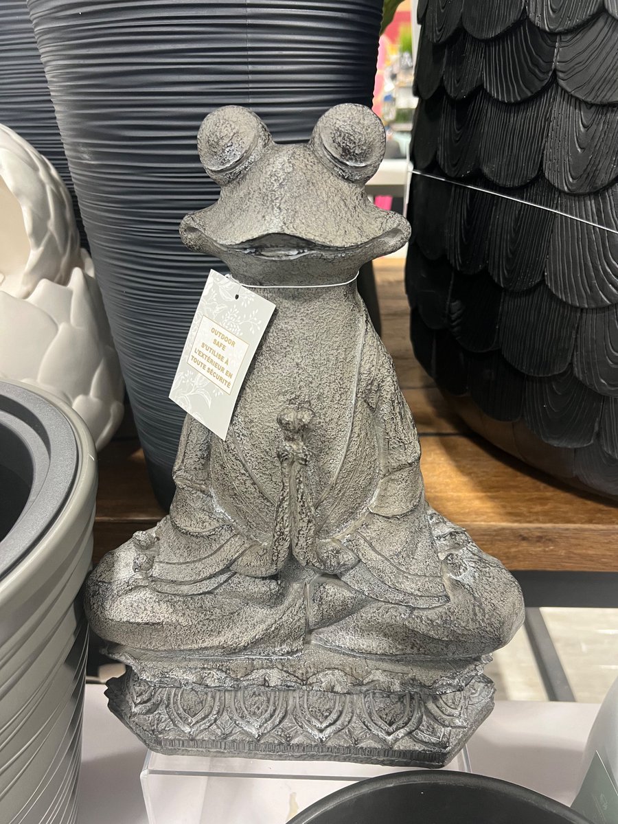 Seems like my namaste frog was stolen. So do I get namaste dog or another namaste frog? 🧘