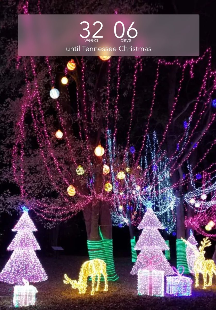 Flights, accommodation and car booked for our Family Christmas in Tennessee! 

Regular countdown will begin closer to when we leave. 😜

#authenticityinedu #tlapdownunder #inspirationinfluenceimpact 
#connectedleadership