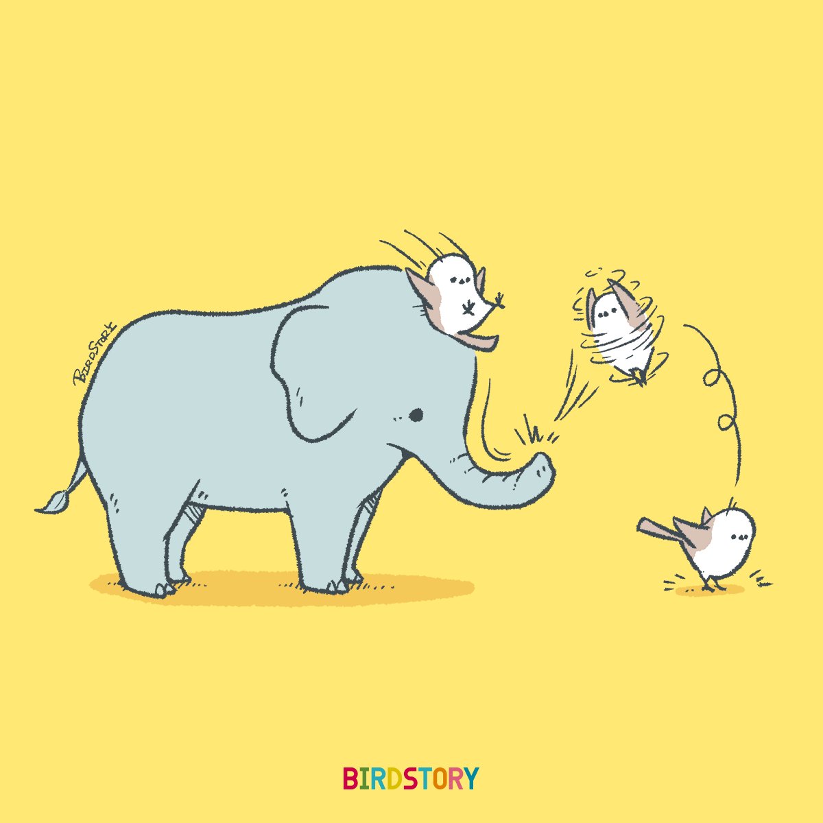 「おはようございます。 本日は4月28日、象の日とのことです #BIRDSTORY」|BIRDSTORYのイラスト