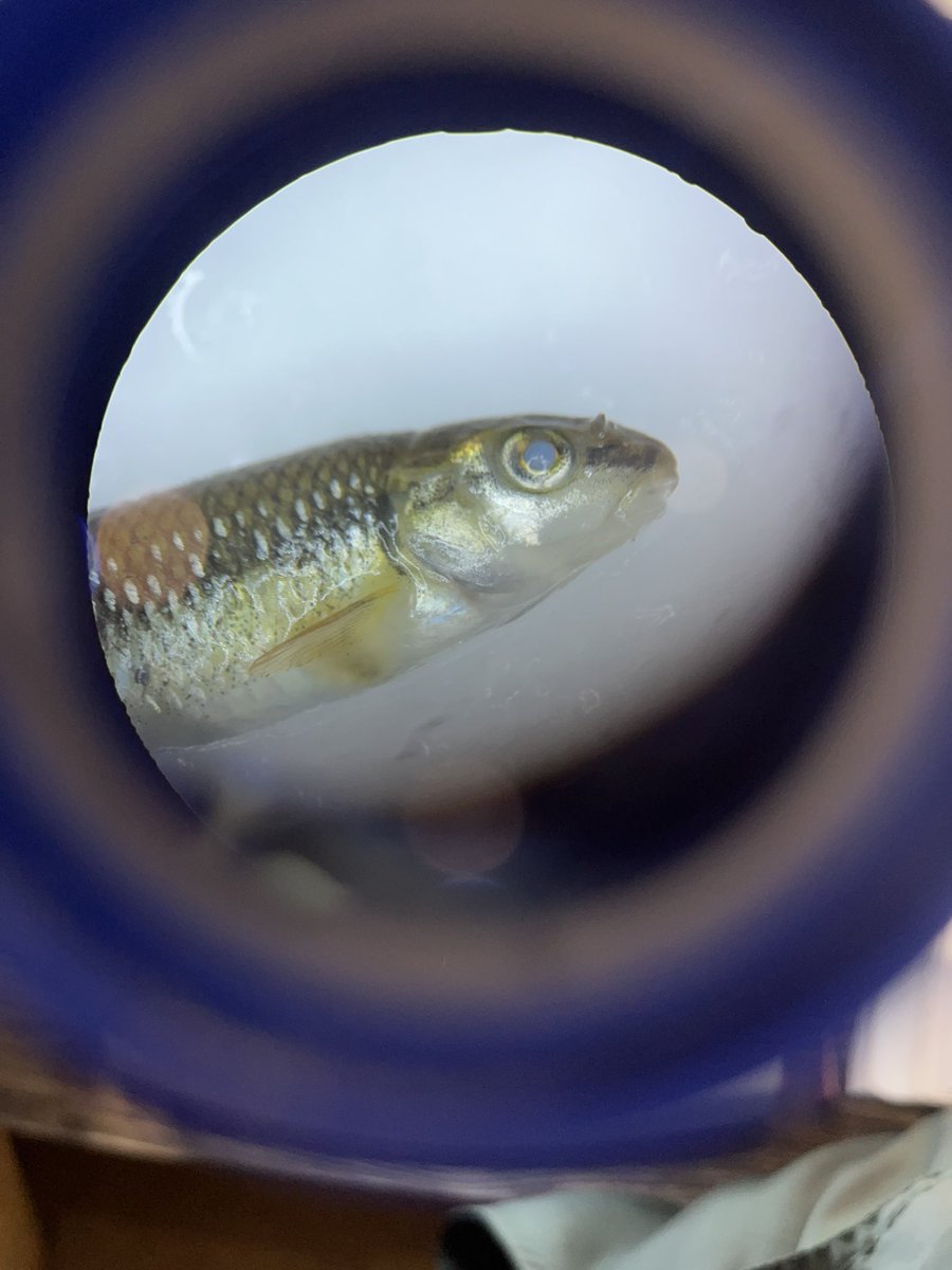 went to fish city and they all knew who I was