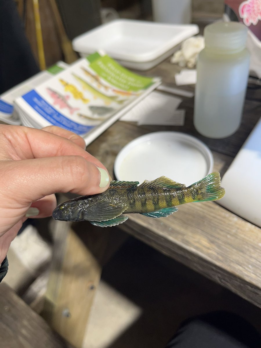 classicallyamy's tweet image. went to fish city and they all knew who I was