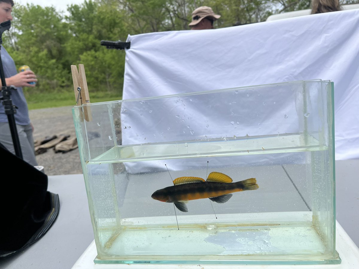 classicallyamy's tweet image. went to fish city and they all knew who I was