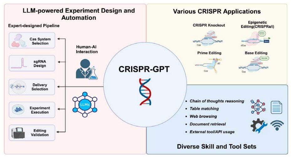 CRISPR-GPT: An LLM Agent for Automated Design of Gene-Editing Experiments Use Agent 'to facilitate the process of selecting CRISPR systems, designing guide RNAs, recommending cellular delivery methods, drafting protocols, and designing validation experiments to confirm editing…