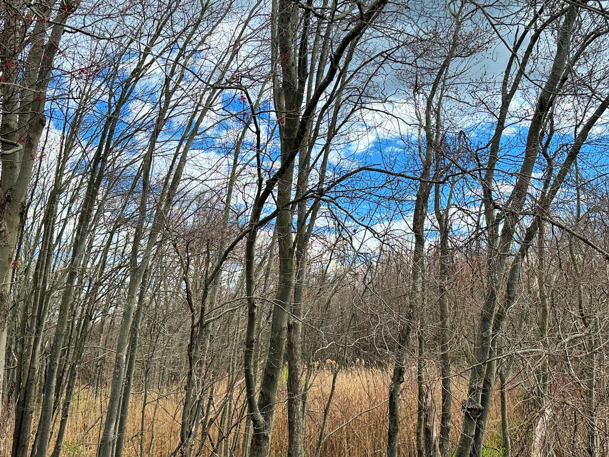 A beautiful day in Granby, Massachusetts.
#massachusetts #newengland #granbyma #massachusetts_igers #newengland_igers #granbymassassachusetts