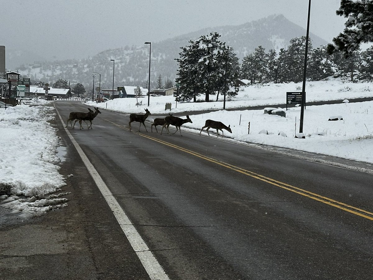 Estes Park, CO yesterday, then today…