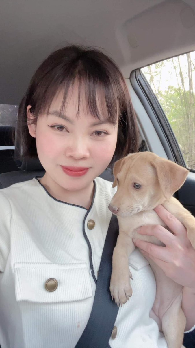 【楽しいシャム猫さん】 今回はセラピストの動物編、タイの犬でお楽しみ🍀　 かわいいですね～❤️ #タイ王国　#犬