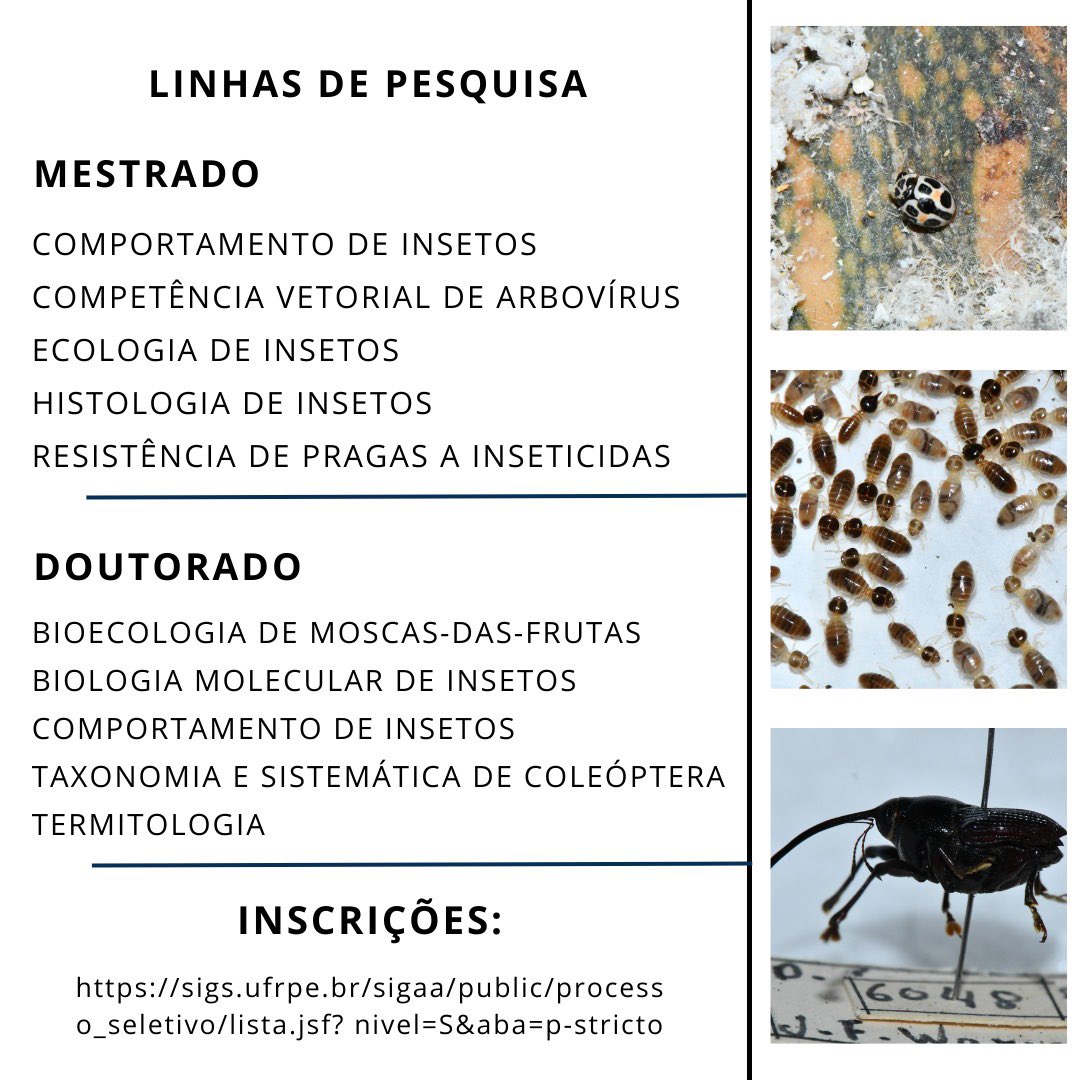 Seleção PPG Entomologia UFRPE 

#entomologia #pósgraduação #mestrado #doutorado #entoufrpe