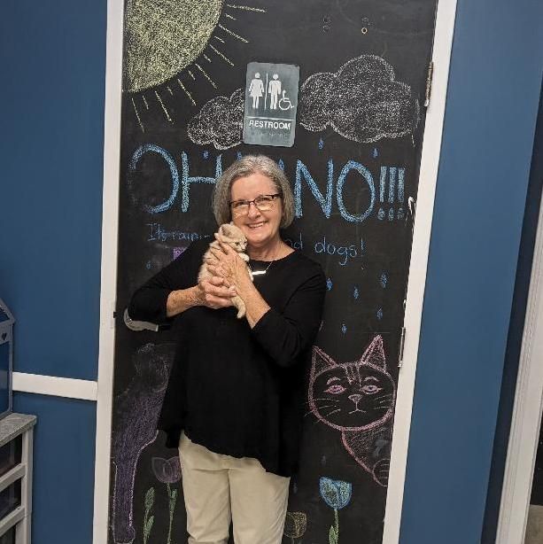 We had 5 adoptions and no intakes! Congratulations to Zaylah, Mikasa, Phantom, Erin, and Chili!