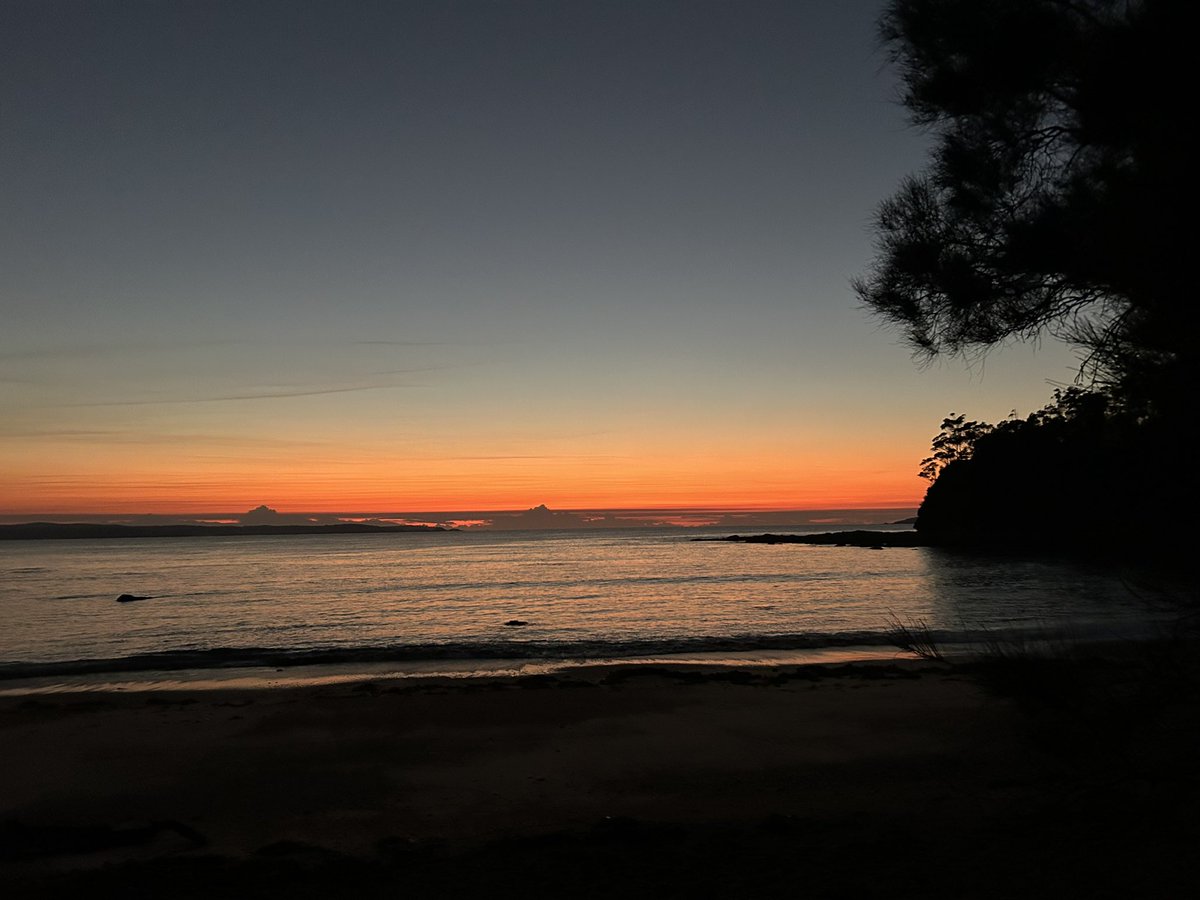 Sam Raskolnikov Wilson tweet media