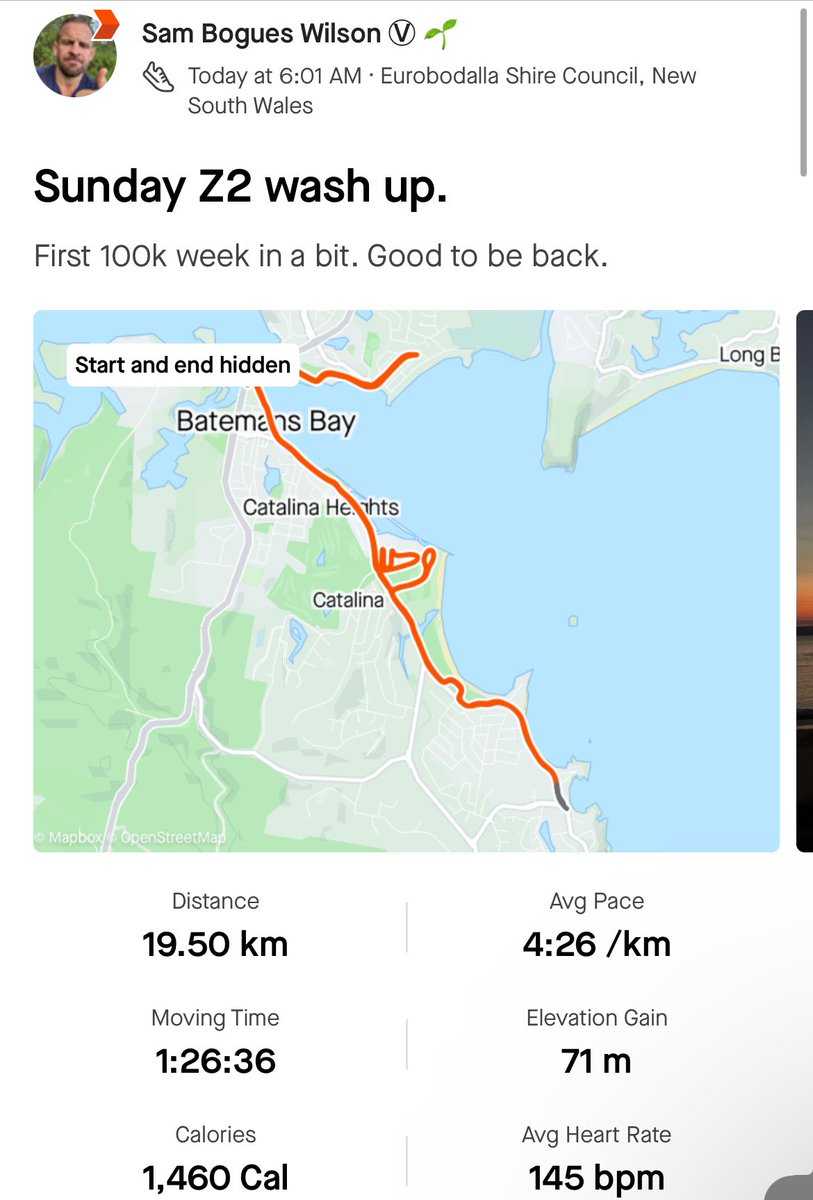 Sam Raskolnikov Wilson tweet media