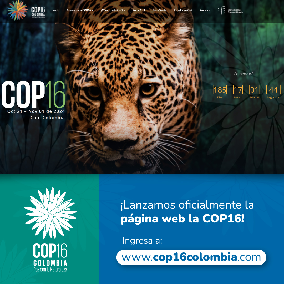 ¡Ya está al aire la página web de la #COP16Colombia! Aquí podrás consultar la ruta de participación y movilización que llegará a 20 ciudades del país. ¿Qué esperas para unirte a esta gran cumbre por la biodiversidad del mundo? Ingresa a cop16colombia.com