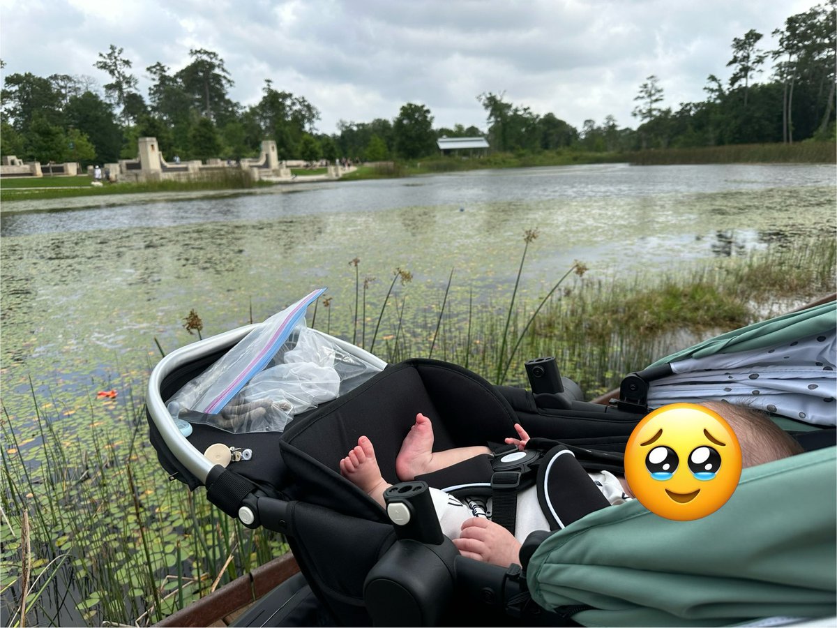 Chava surveying her swamp kingdom @MemorialPark