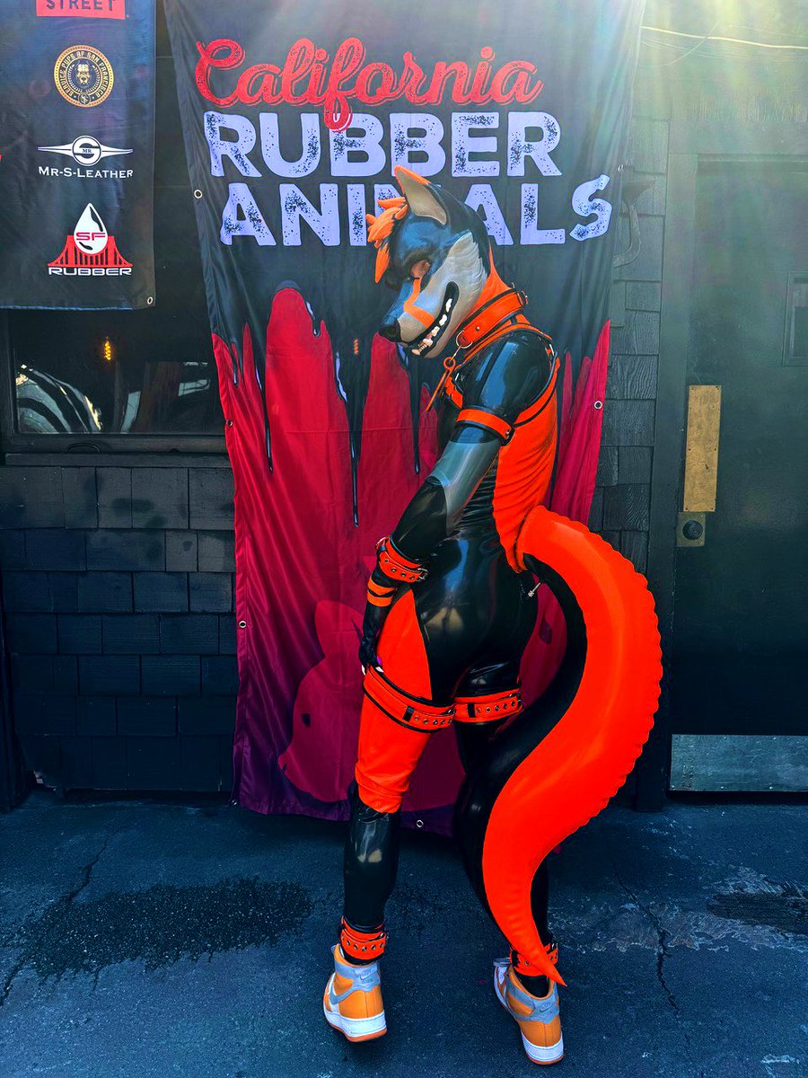 Puffy tails are the best tails, RT if you agree~ 🐕🎈 📸: @alpenglowww #squeakySaturday #CArubberanimals #SFRW #rubberfur