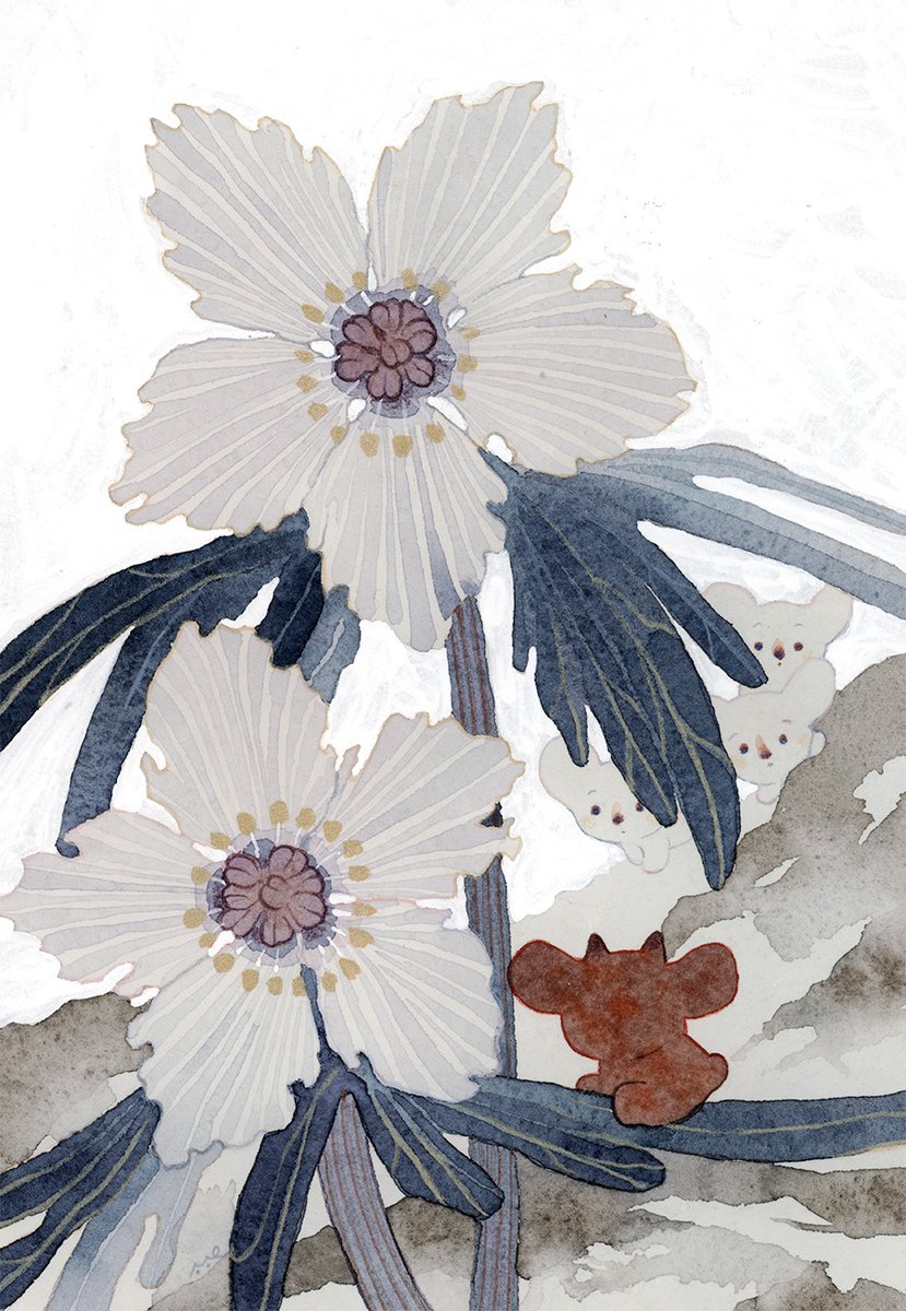 simple background white background flower no humans traditional media white flower painting (medium)  illustration images