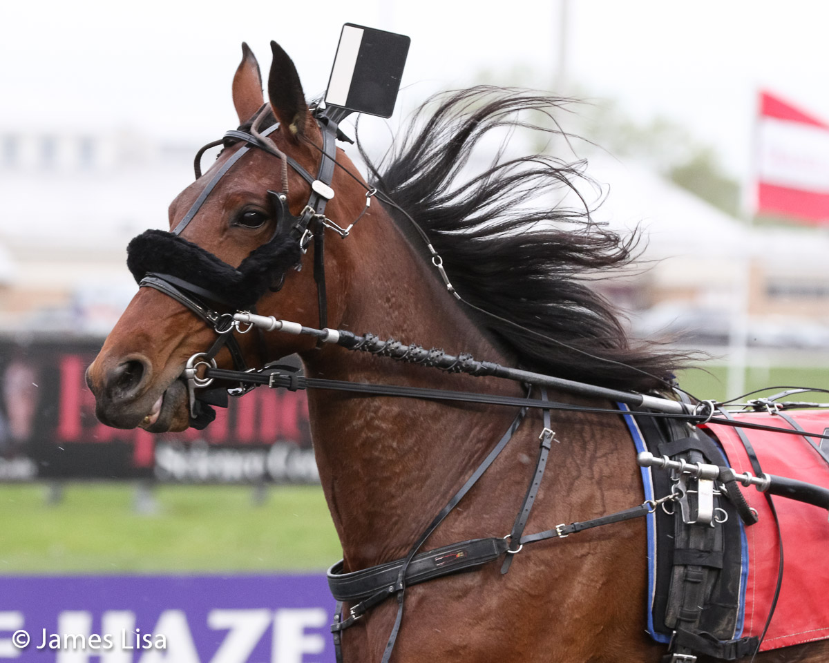 Lisa Lane with her mane in the air wins the New Jersey Breeders Maturity @themeadowlands @JessicaOtten1 @DaveLittleBigM #harnessracing #PlayBigM
