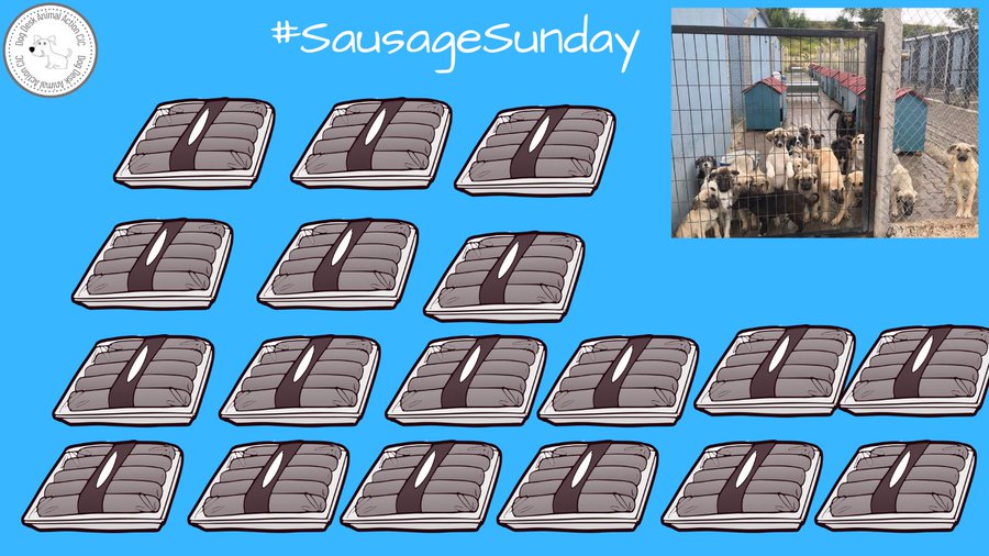 Today is #SausageSunday ☺️ Will you buy some for the dogs, just £2 a pack donorbox.org/donate-to-dog-… paypal.com/paypalme/dogde… (ref sausages) Thank you so much #dogsoftwitter #dogsofx #dogs #dog