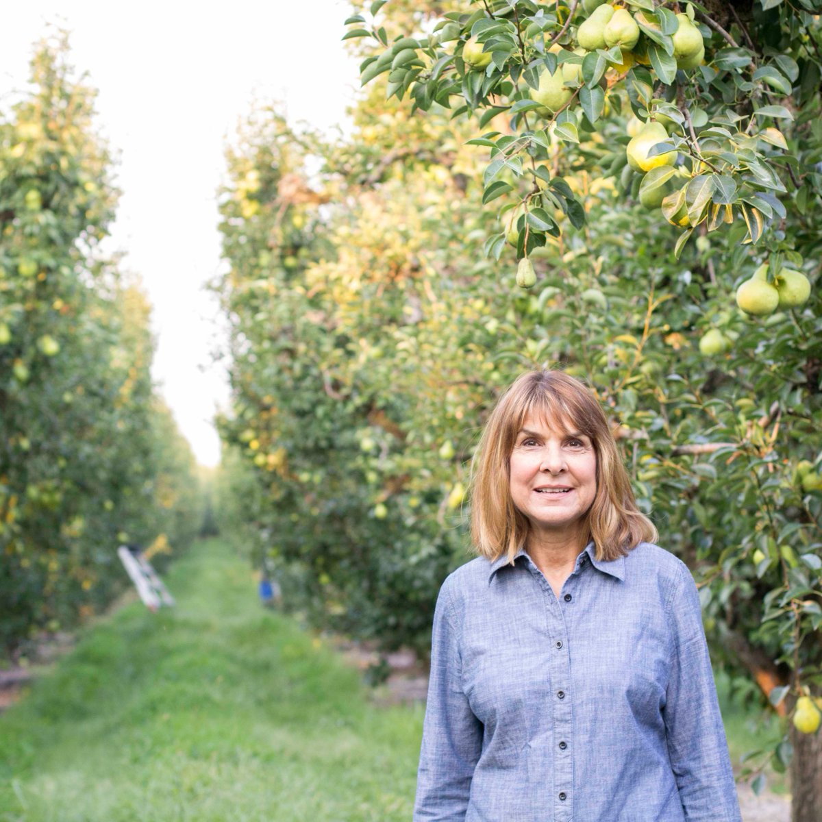 California pears farmers know that growing food for generations to come means adopting sustainable practices.

That's why our growers are continuously implementing practices such as sustainable pest management.

Click here to learn more: calpear.com/sustainability/