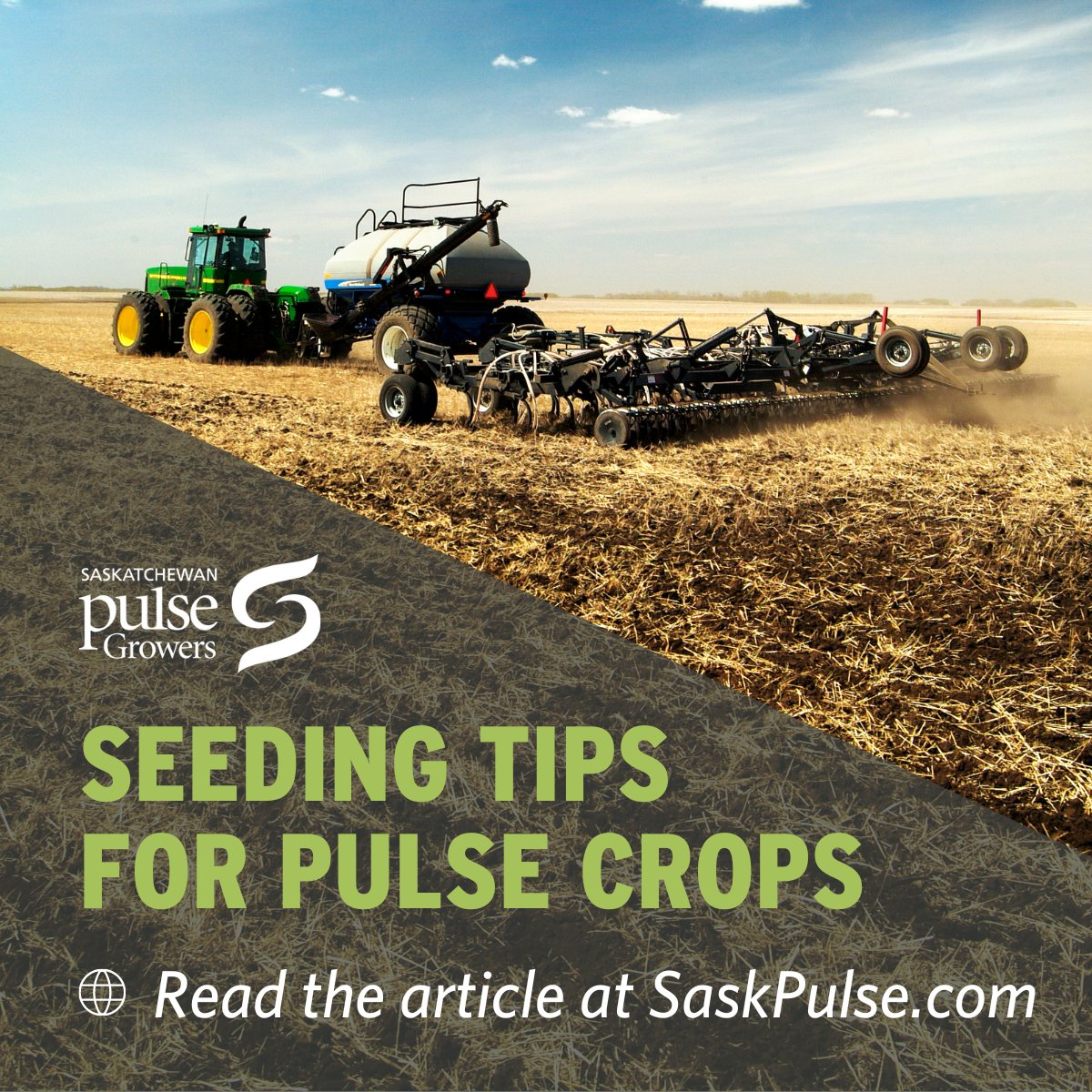 Pulses can be influenced by a range of factors that can affect how well your crop will establish. Things such as seeding rate, soil temperature, seed quality, moisture, handling, and fertilizer placement/rate all play a part on the success of the crop: ow.ly/OKJp50RmmCr