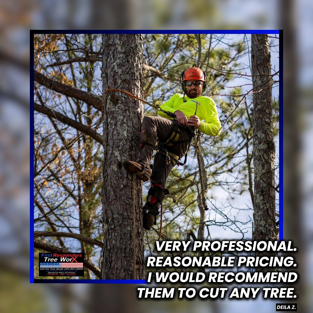 Thank you, Deila, for this awesome review!

#BirminghamAL #HooverAL #ColumbianaAL #CaleraAL #InvernessAL #Alabama #ChelseaAL #HelenaAL #PelhamAL #AlabasterAL #TreeServices #TreeClearing #StumpRemoval #TreeCutting #WasteRemoval #ChelseaPark #MountainBrook